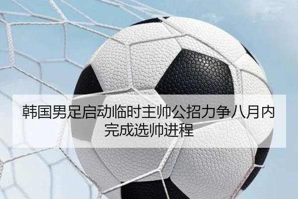 韩国男足启动临时主帅公招力争八月内完成选帅进程