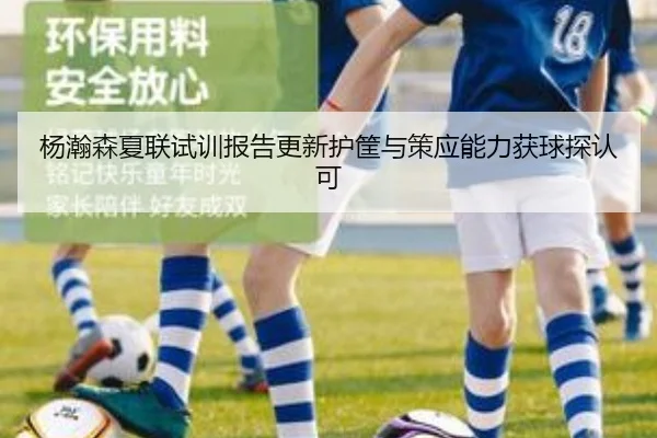 杨瀚森夏联试训报告更新护筐与策应能力获球探认可